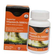 돈스텔 뼈건강 비타민D