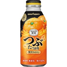 포카 사포로 호오바루 과일 알갱이가 풍부한 고급 귤 400g × 24개