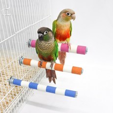 세라믹 발톱갈이횟대 소 색상 랜덤발송