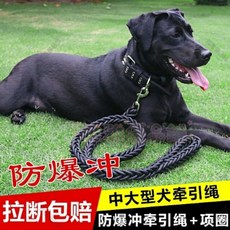 【開發票/統編】狗狗牽引繩 大型犬/中型犬遛狗繩 金毛/德牧適用 寵物鏈/項圈 緩衝減震牽引帶 夜間反光安全, 1個, 手工編織（套裝）八股牽引繩藍色+項圈,中號（建議17.5--32.5公斤）