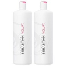 세바스찬 프로페셔널 볼럽트 컨디셔너, 2개, 1L