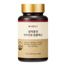 와이즐리 활력충 비타민B 컴플렉스, 1개, 60정