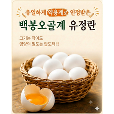난각번호1번 백봉오골계 자연방목 자연방사 유정란 무항생제, 1개, 30구