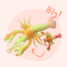 홈투홈 아쿠아퐁 촉감 놀이 장난감 물에 넣으면 커지는 공룡, 아쿠아퐁 - 가재