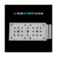 SM 아크릴 활착판 10X5cm, 1개