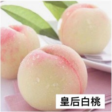 霏霏園藝 皇后白桃樹苗 4吋盆栽 居家綠化首選, 1個