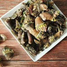 국내 자연산 산지직송 해녀채취 오동통 거북손, 1개, 1kg