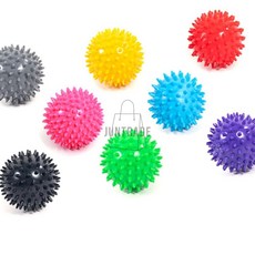 TE 고슴도치 마사지 볼 지압공