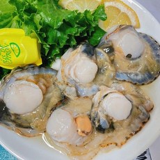 산지직송 통영 순살홍가리비 깐가리비 반탈각가리비(하프셀), 반탈각가리비(하프셀)3팩(총18미), 3개