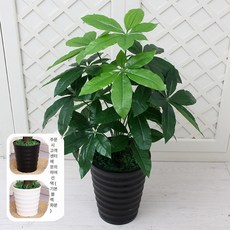 대형 인조조경 나무조화 실내외 인테리어용 인조식물, 85cm 다이아몬드 18머리 번영+화분+잔디