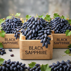 [깜짝파격가] 고당도 블랙사파이어포도 씨없는 가지포도, 1박스, 2kg