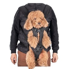 강아지 포대기 앞가방 슬링백 애견 강아지띠 고양이, C. 레드