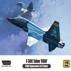 울프팩 디자인 No300/미공군 고등훈련기 탈론 탤론 T-38C Talon USAF, 1개