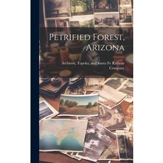 (영문도서) Petrified Forest Arizona Hardcover, Legare Street Press, English, 9781020939211