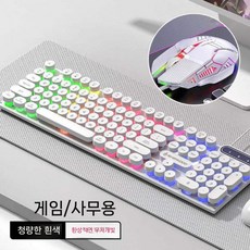 키보드 기계식 필 마우스 세트 데스크탑 노트북 범용 고가치 USB 유선 게임, 펑크 캐비지 키보드+마우스