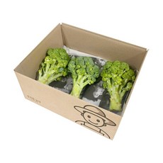 정직한농장 국내산 브로콜리, 280g, 3개