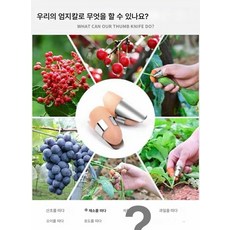 손가락채취농용가위 오이깍지 엄지칼 채신기예과 작두칼 반지칼, 색깔2, 1개