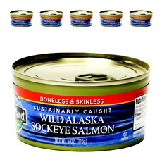 와일드플래닛 와일드 알래스카 삭아이 살몬 본레스 & 스킨레스, 170g, 6개
