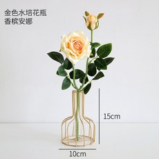 客廳假花仿真花塑料花擺件ins客廳酒櫃餐桌房間鬱金香插花裝飾品 ins日韓風 仿真花擺件 客廳香插花擺件qct6r0, 金色水培花瓶+香檳安娜, 1個