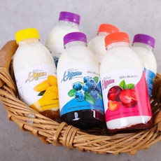 밸리애 망고 자두 블루베리 요구르트 450ml, 02.자두 요구르트 450ml x 2개, 1개