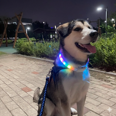 더바른 강아지 애견 목줄 야광 무지개 LED 산책용품 산책, 1개, 레인보우