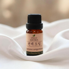 오슬로 편백나무 편백수 피톤치드 원액 100% 편백오일, 1개, 10ml