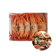 [선주직송] 박달 홍게 수율 90%내외 특A급 당일조업, 1개, 특A급 3kg 9마리~11마리