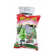 은비원화원 알송이유박 분재 화분걸음 200g