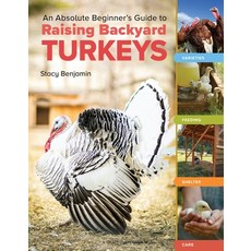(영문도서) An Absolute Beginner's Guide to Raising Backyard Turkeys: Varieties Feeding S... Paperback, Storey Publishing, English, 9781635867565
