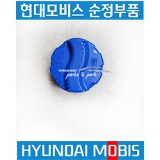 메가트럭 올뉴마이티 뉴파워트럭 엑시언트 파비스 트라고 요소수 캡 285307L300