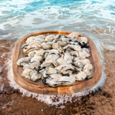 통영 굴 제철 최상급 깐굴 생굴 1kg, 1개