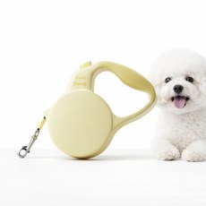 이로운 반려동물 리드줄 자동 산책줄 강아지 애견 목줄 대형견 원터치, 민트