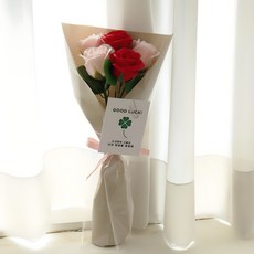 ASPASIA 好運 5朵香皂花花束 + 購物袋, 紅色, 1個