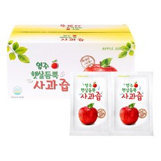 햇살듬뿍 사과즙, 100ml, 30개
