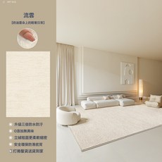 DIU 客廳地毯純色法式奶油風防水免洗可擦易打理臥室大面積全鋪牀邊毯, 1個, 超柔仿羊絨-流雲