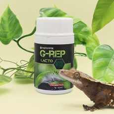 녹십자 지렙 락토 G-REP LACTO 파충류전용 유산균 설사개선제, 80g, 1개