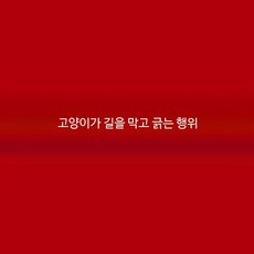 창문방충망 스테인리스 스틸 자가설치형 다이아몬드 메쉬 가정용 접착식 모기장 여름용 방충망교체 부착형 방충망 셀프교체 가능, 고양이 발톱 차단 및 긁힘 방지 (극강)