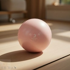권심바몰 소프트 토닝볼 0.5kg 2개 웨이트볼