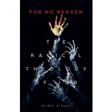 (영문도서)For No Reason: The Radical Theology of Job and What It Reveals About Suffering ... Paperback
