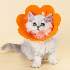 미우프 강아지 고양이 두꺼운 EVA 넥카라 상처보호 중성화 쿠션 깔대기, 오렌지, 1개