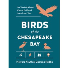 (영문도서)Birds of the Chesapeake Bay Paperback, Timber Press (OR), English, 9781643264158