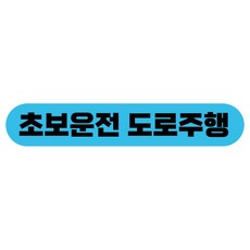 라쿤마켓 초보운전 자석스티커 도로주행 연수용 방수기능 야간반사기능, 04 바게트형, 1개, 파랑 04 바게트형, 1개, 파랑