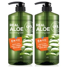 시투와이 알로에 수딩젤 대용량 펌프 수분크림 알로에베라 젤 겔, 2개, 1L