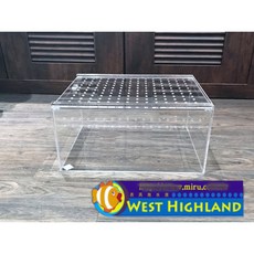 西高地水族坊 壓克力爬蟲箱 寵物箱 蜥蜴 蛇 鼠 青蛙 蠍子 蜘蛛 甲蟲 鍬形蟲 40cm*30cm*20cm, 1個, 透明