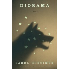 (영문도서)Diorama Hardcover, MCD, English, 9780374616038