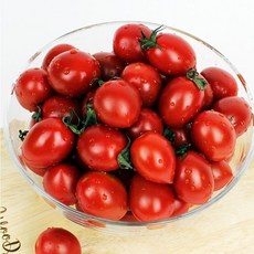 대추방울토마토1-3번과 1kg