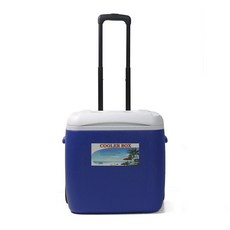 낚시 아이스박스 28리터 캐리어아이스박스, 블루, 블루