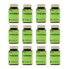 ES 식품원료 키키농축액 소량 테스트용 / 샘플, 키키오렌지퓨레, 100g, 1개