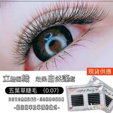 獨家捲度五葉草睫毛 山茶花材質 凹槽吸膠 YY睫毛 根部收尖 自動開花6D 5D開花 美睫材料, 1個, 【五葉草】D 9mm