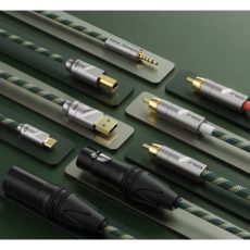 FiiO LINK 케이블 데이터 전송 지원Type-C to Type-C 듀얼OTG, 1개, 실버그린, 10cm